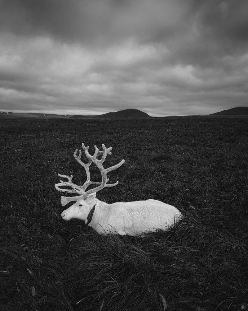 Еркута город