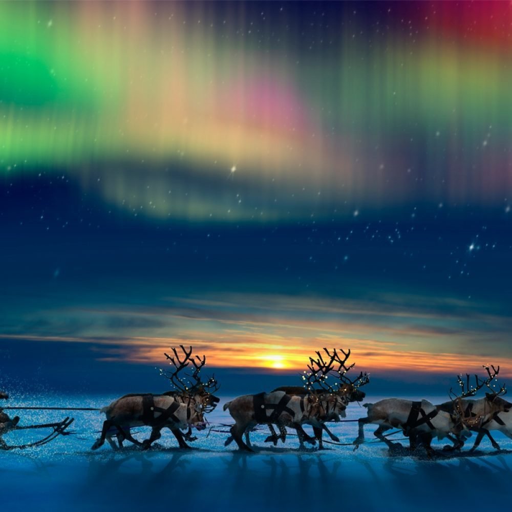 День оленевода Салехард