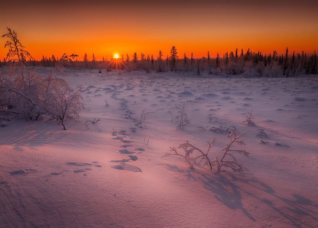 Ямало-Ненецкий автономный округ Северное сияние