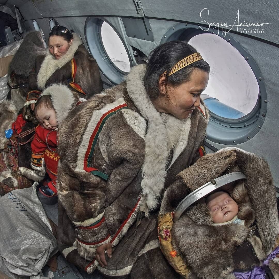 Ямало-Ненецкий автономный округ лесотундра