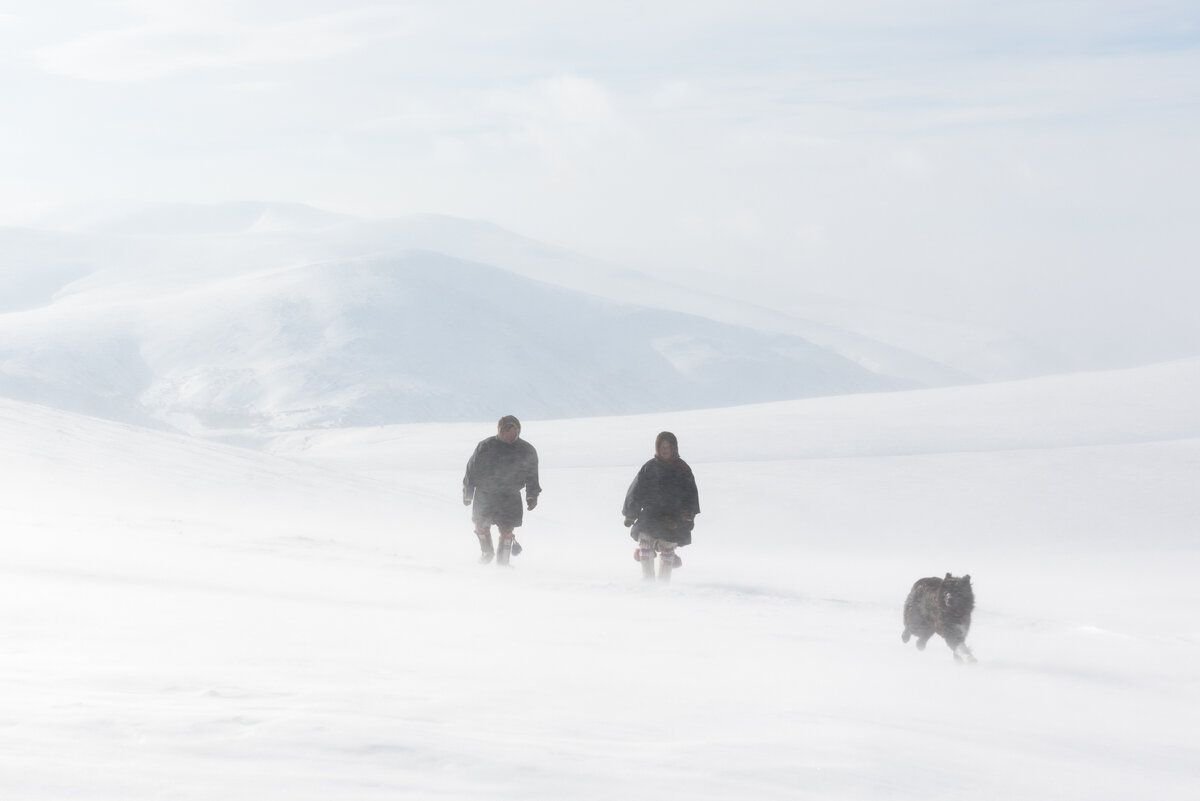 Ямал картинки