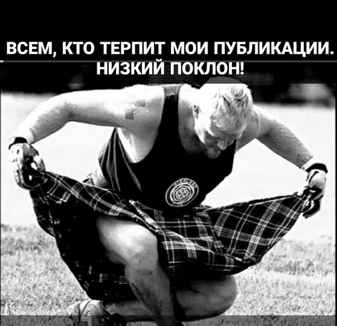 Шотландец книксен