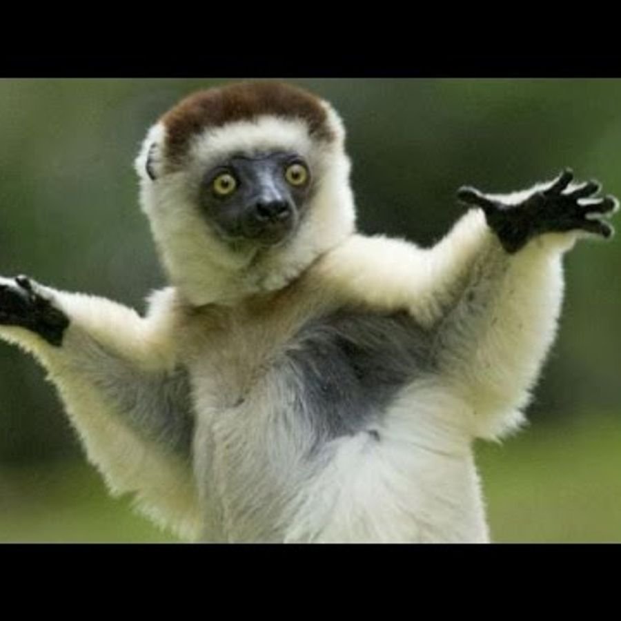 Успокойся прикол