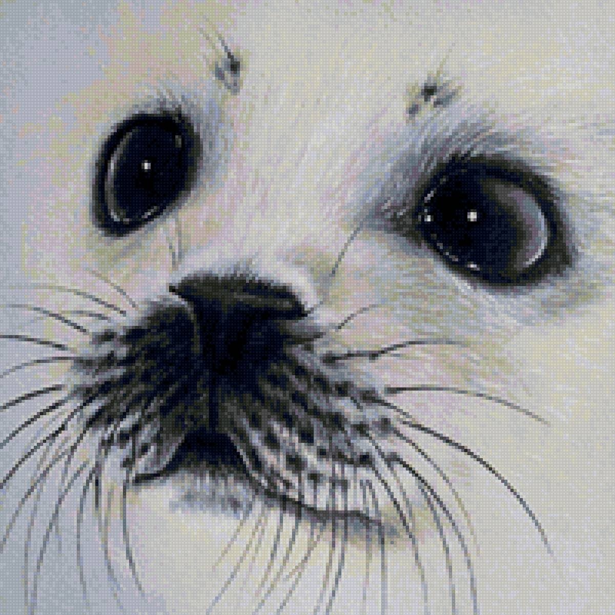 Кольчатая Нерпа