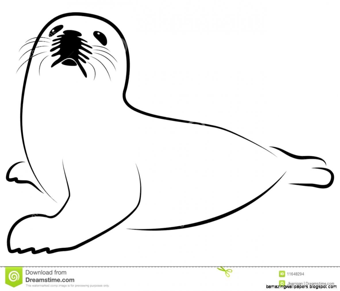 Морж картинка для детей