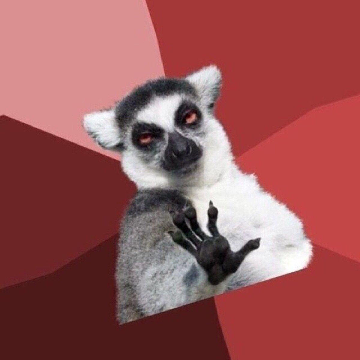 Лемур узбагойся