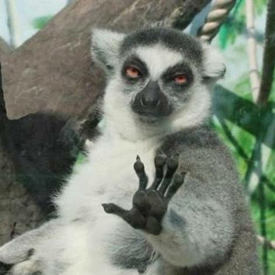 Успокойся картинки прикольные