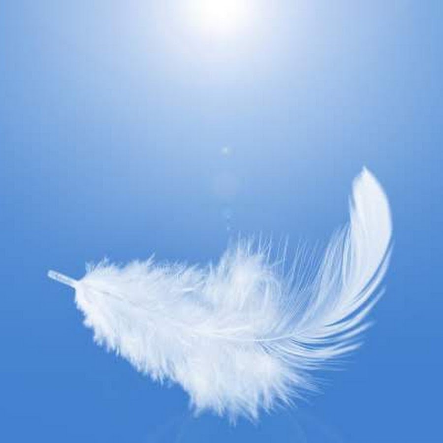 Перья летят