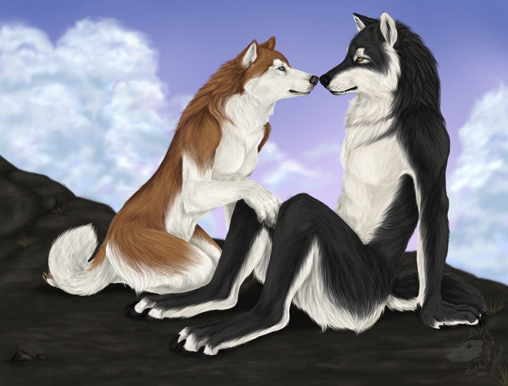 Аниме волки любовь