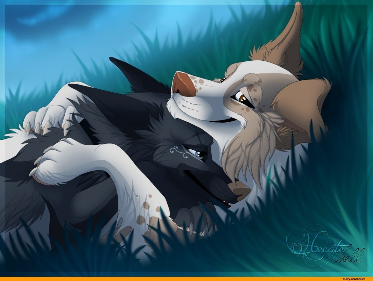 Кьяра Лобоска оборотень