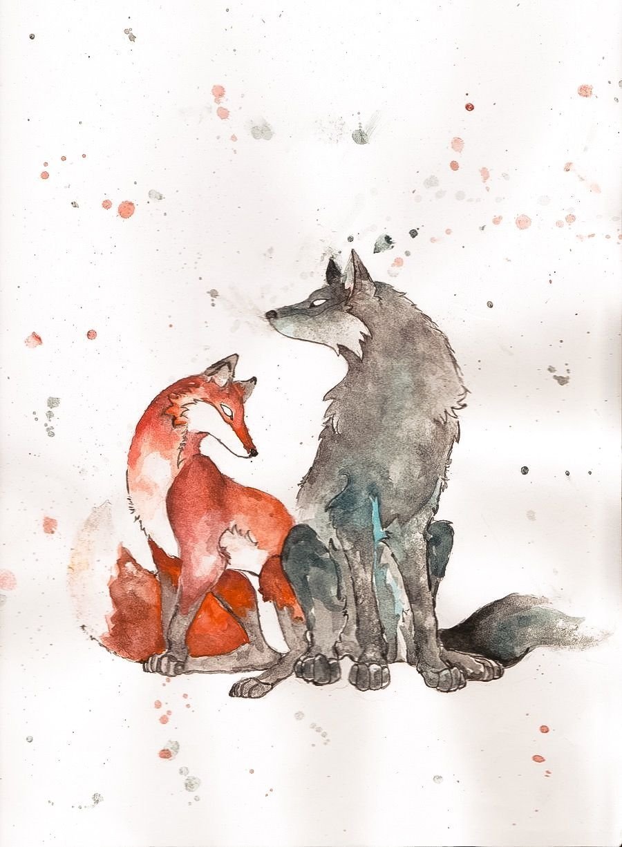 Волк и лиса любовь