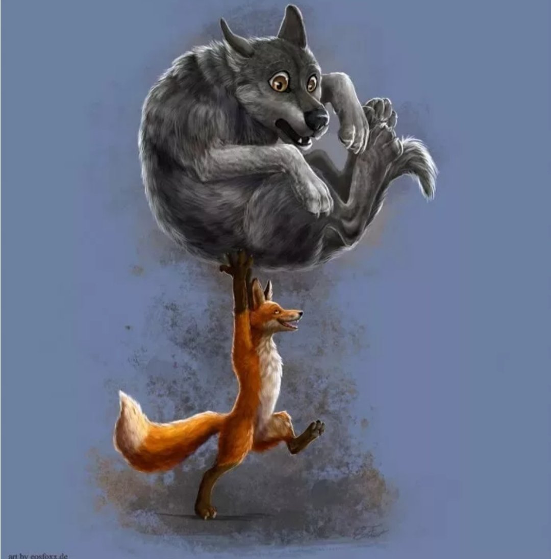 Волк и лиса любовь