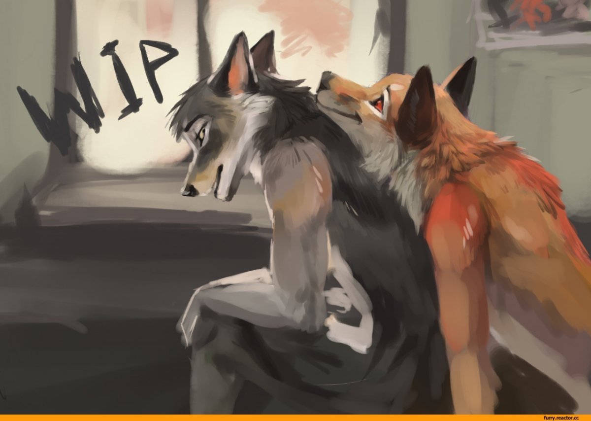 Фурри волки и лисы