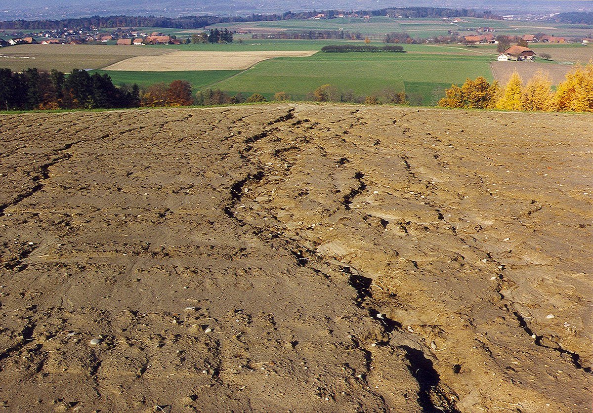 Эрозионная борозда