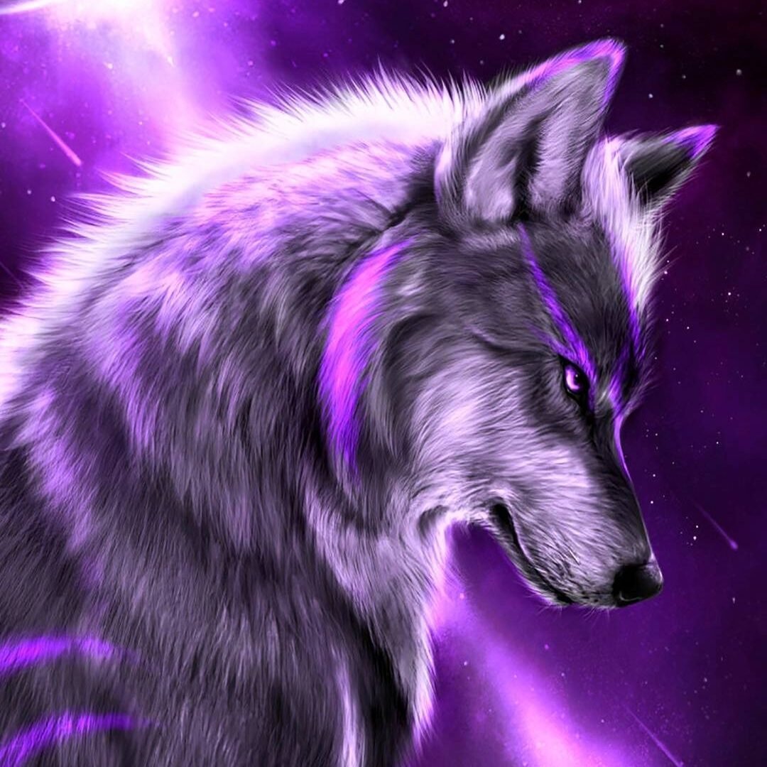 Обои на рабочий стол волк