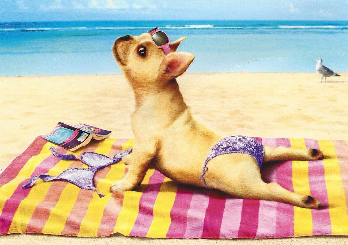 Последний день отпуска