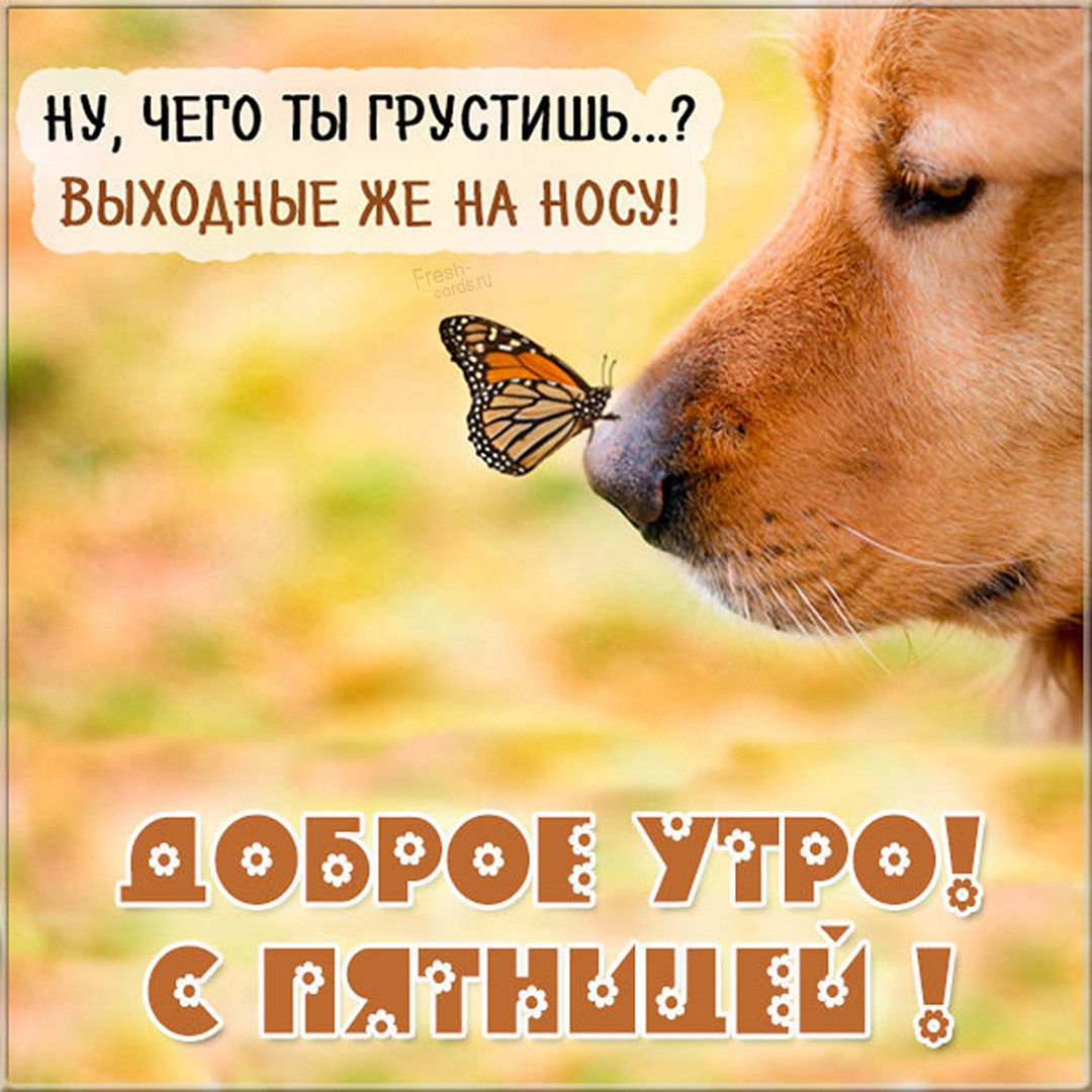 Доброе утро пятницы
