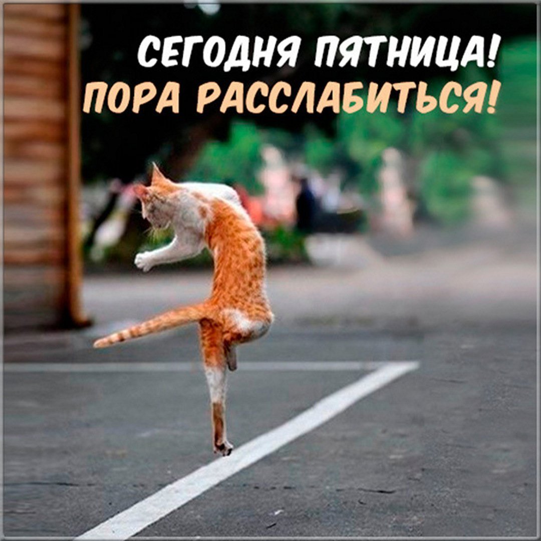 С добрым пятничным утром прикольные