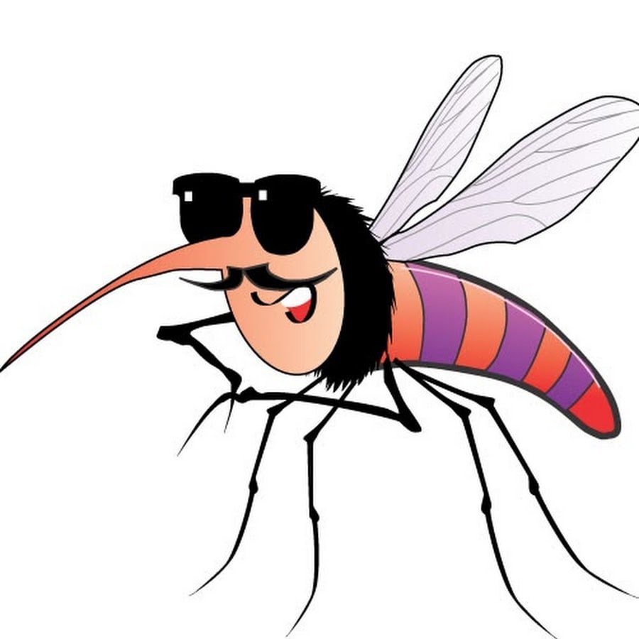 Смешной комар