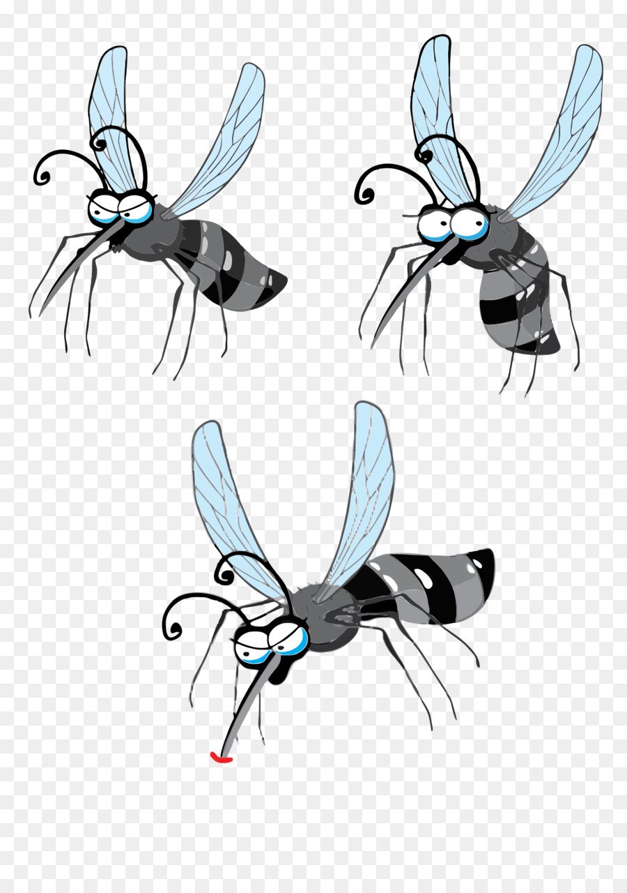 Комарик на прозрачном фоне