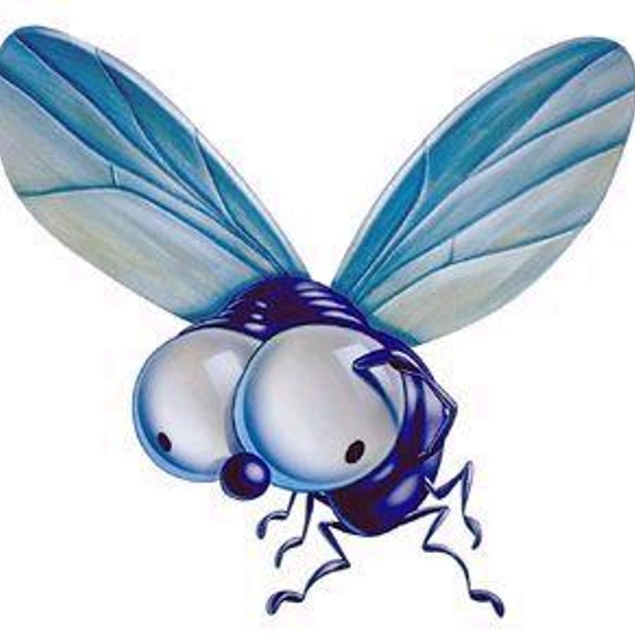 Муха мультяшная