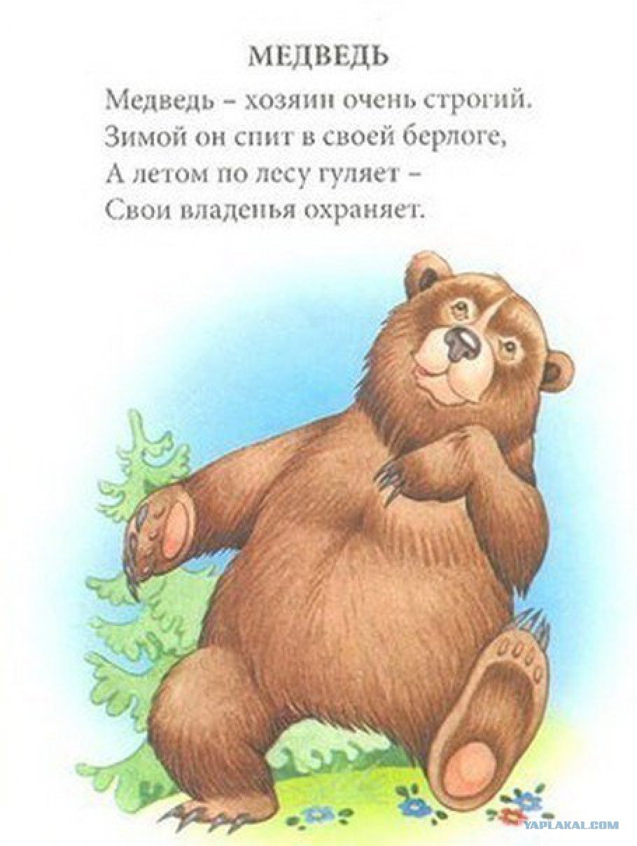 Стишки про мишку