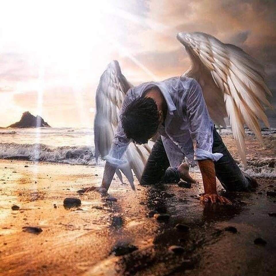 Девушка с обрезанными крыльями