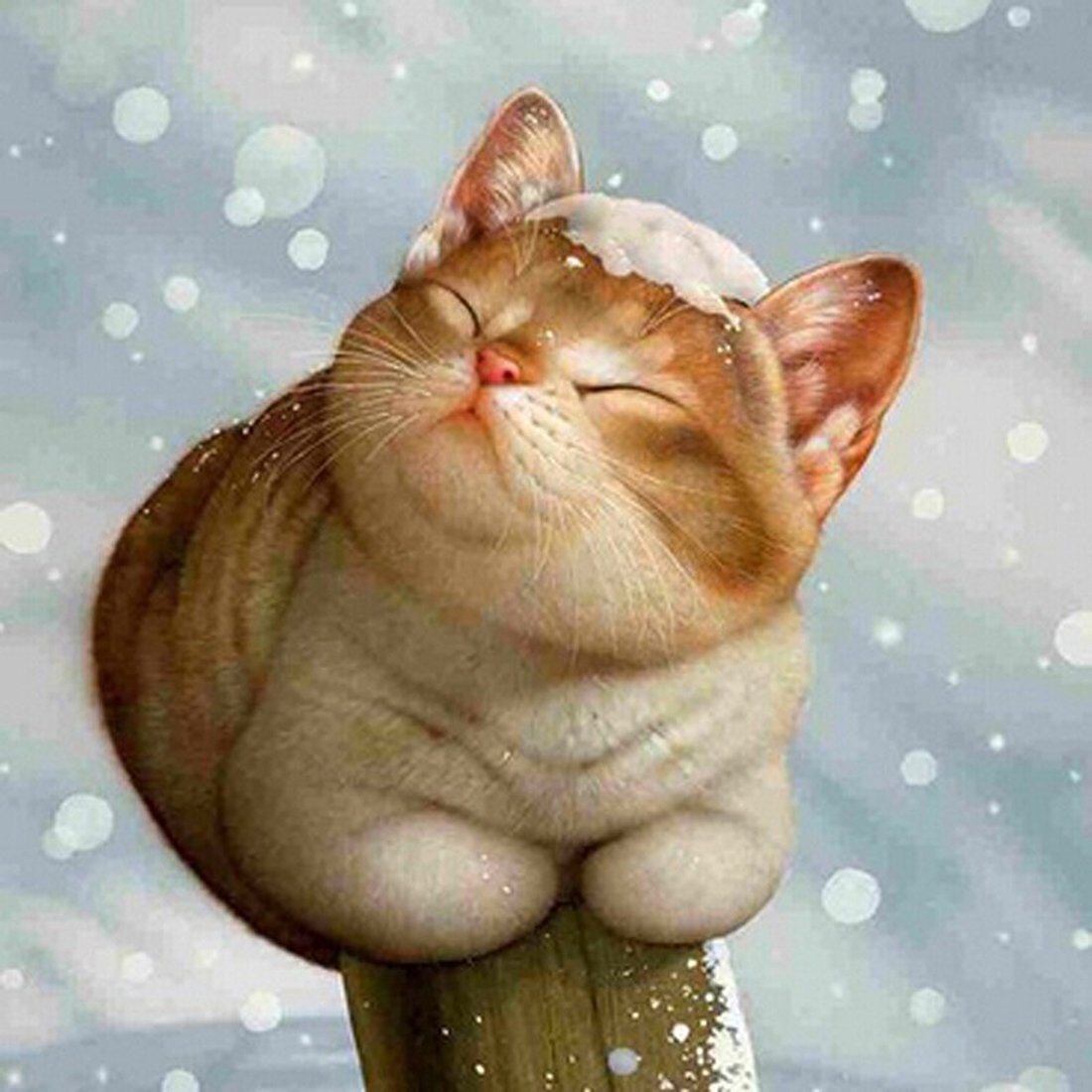 Зима радость