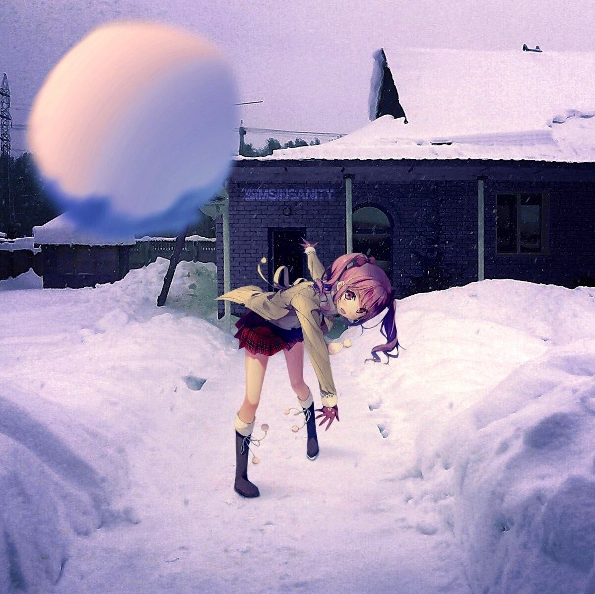 Смешные собаки в снегу