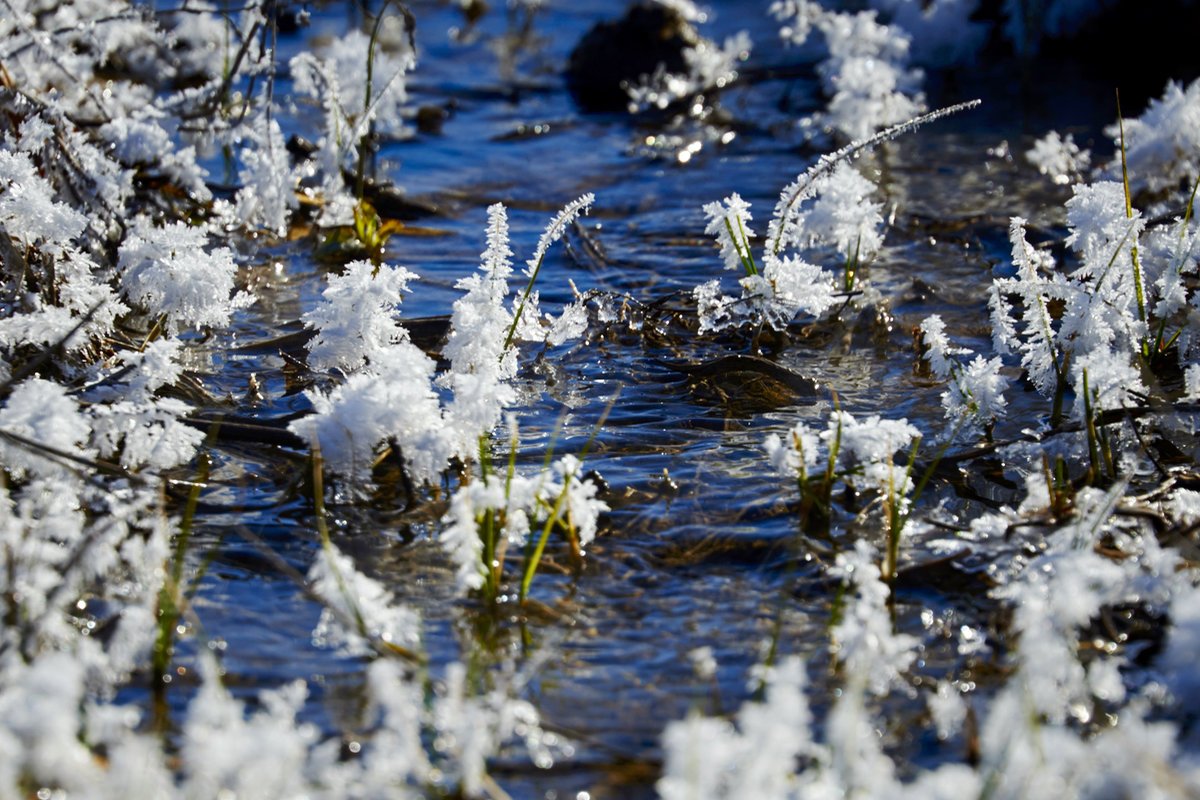 Тающие сугробы снега. Весенние ручьи.