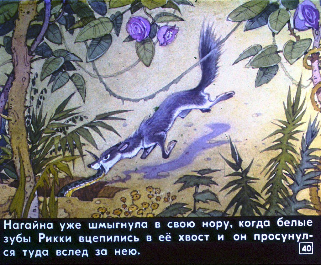 Рики Тики Тави наг и Нагайна