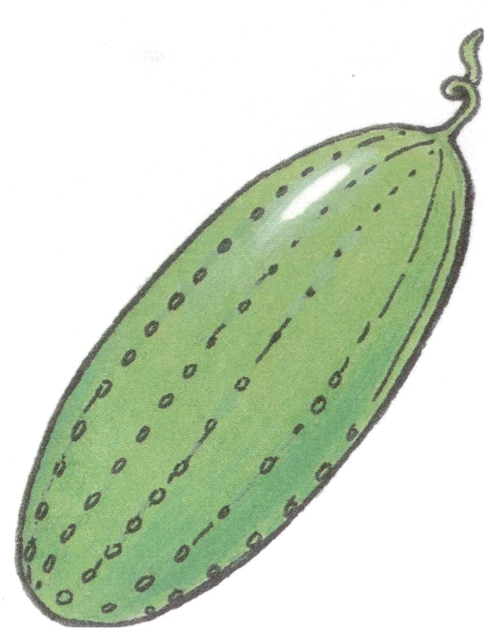 Зеркало овальное