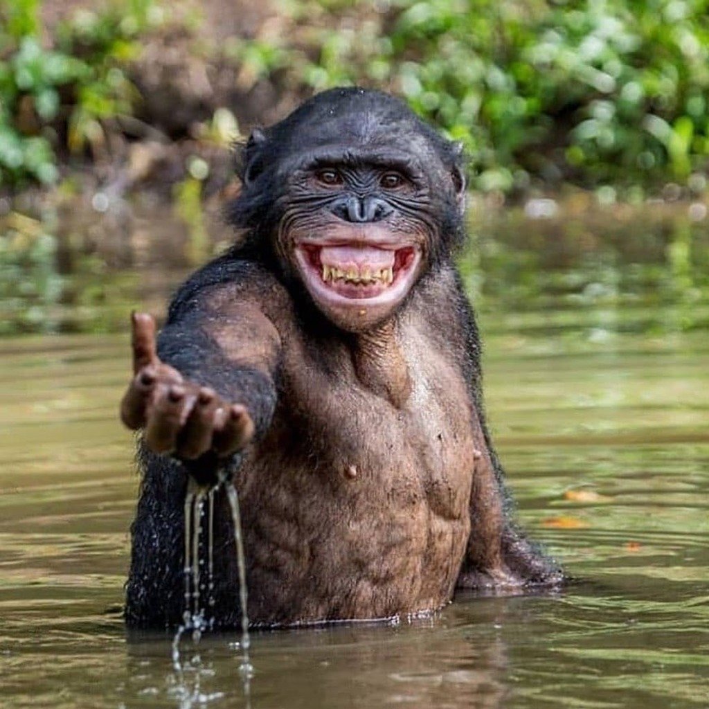 Счастье привалило!