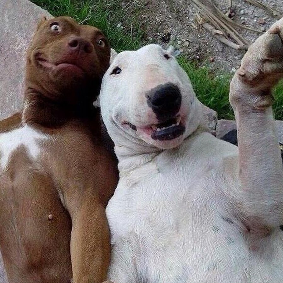 Пользователь заблокирован картинка