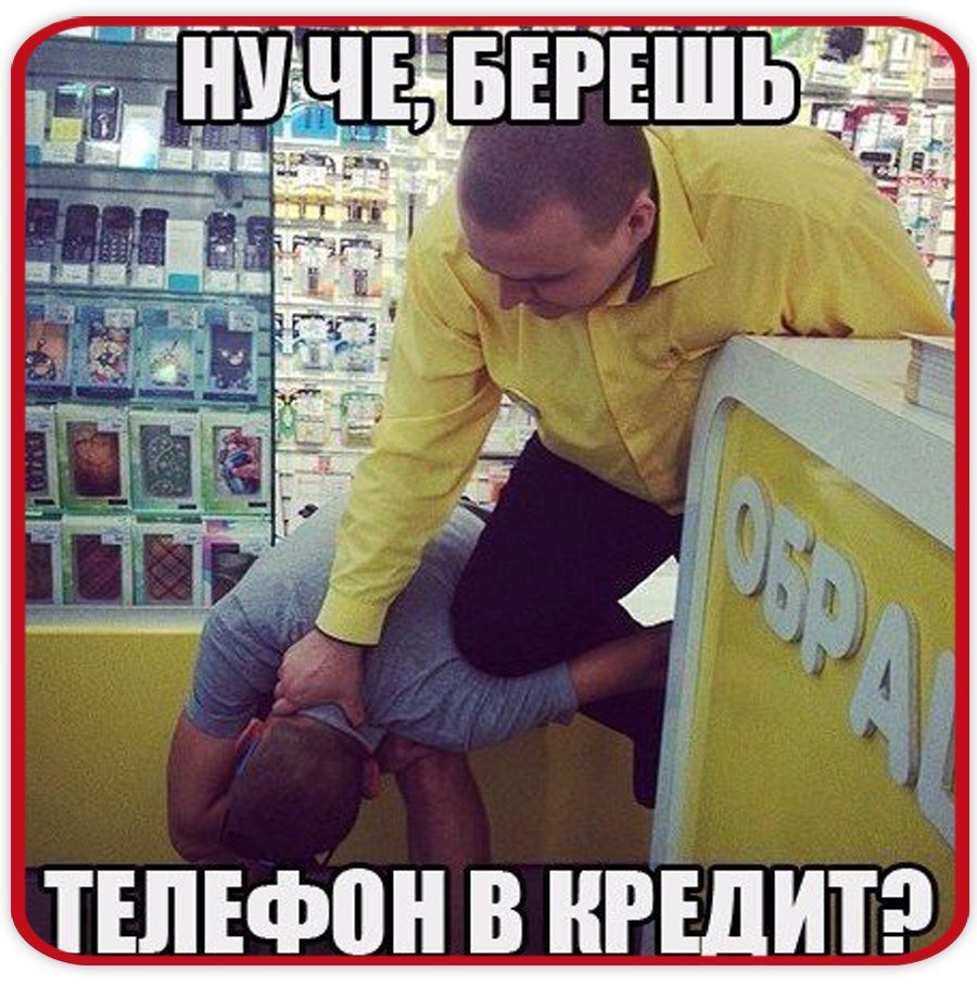 Смешной кот селфи