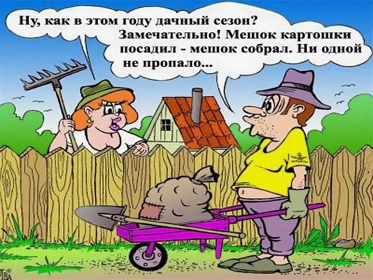 Юмор про дачников