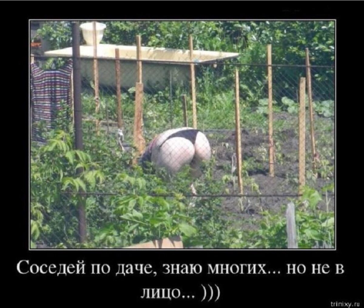 Ах дача дачечка