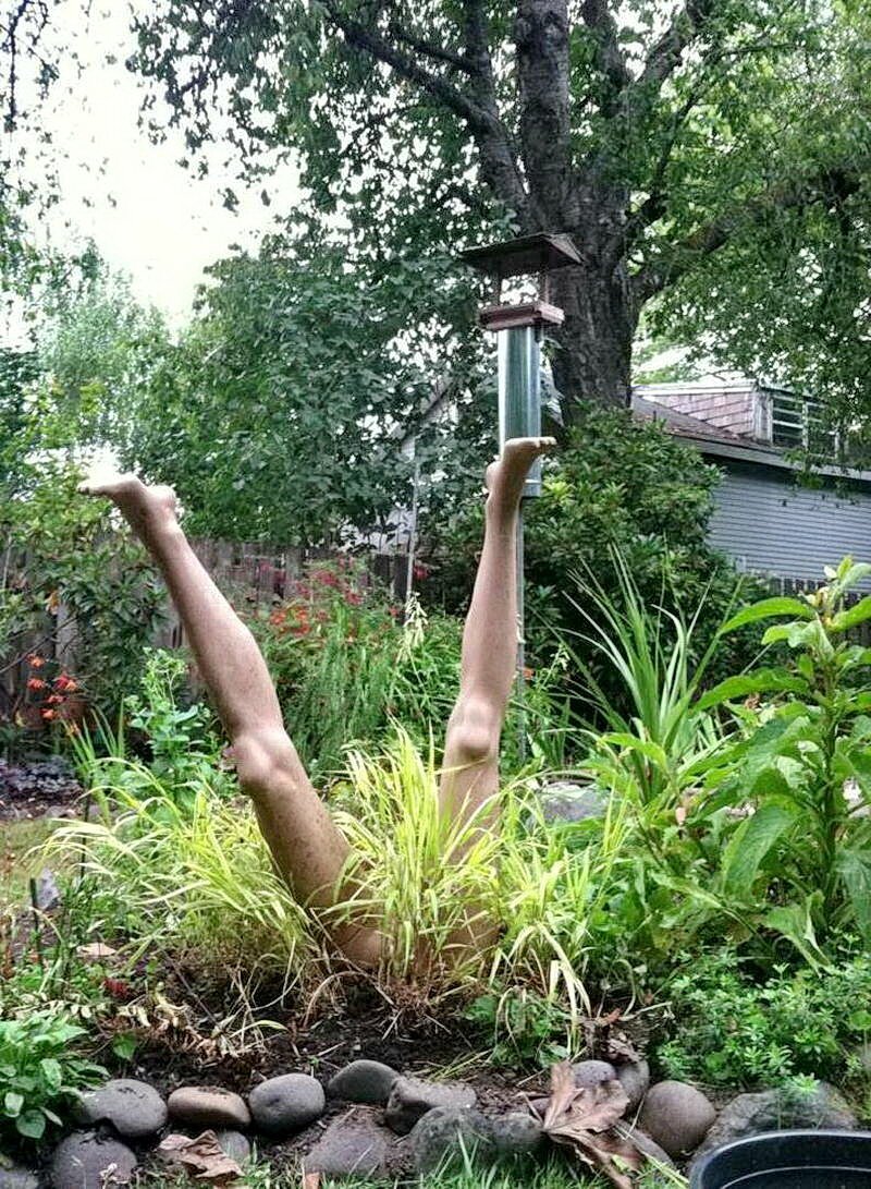 Отпуск на даче