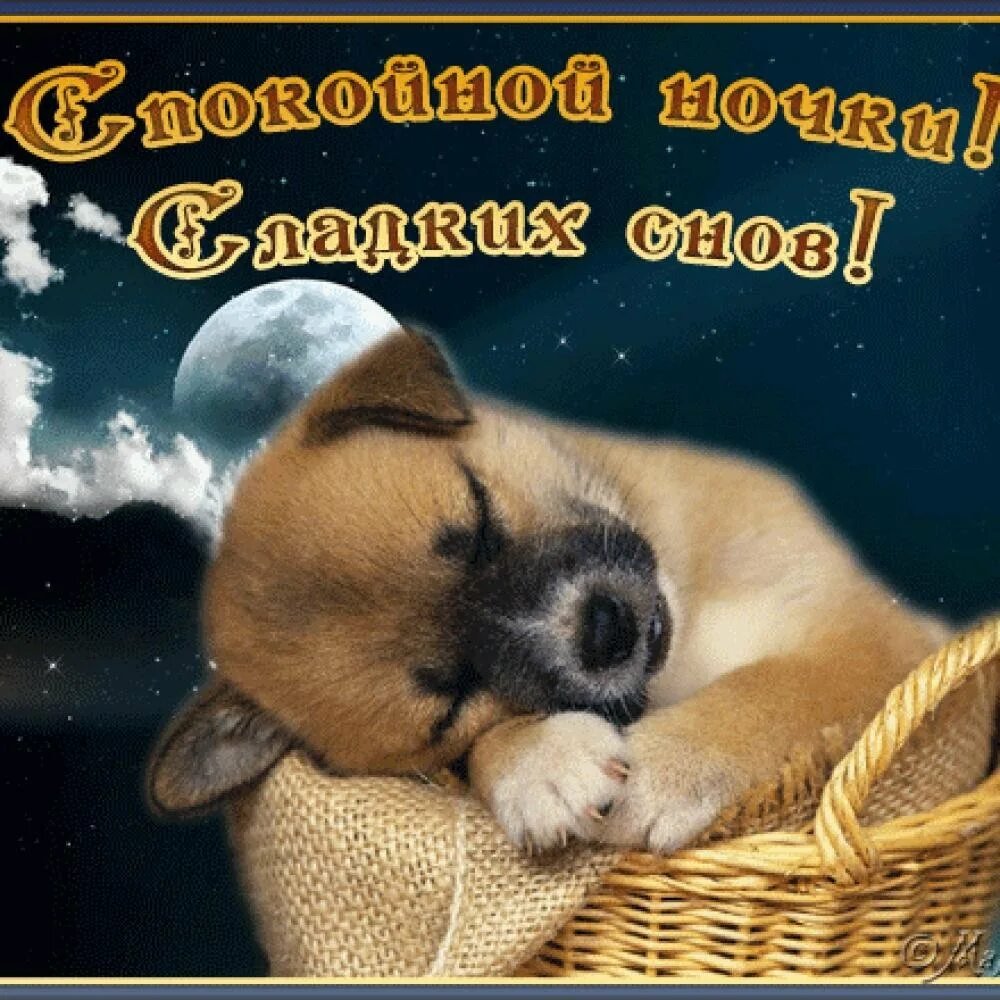 Сон в обнимку с любимым