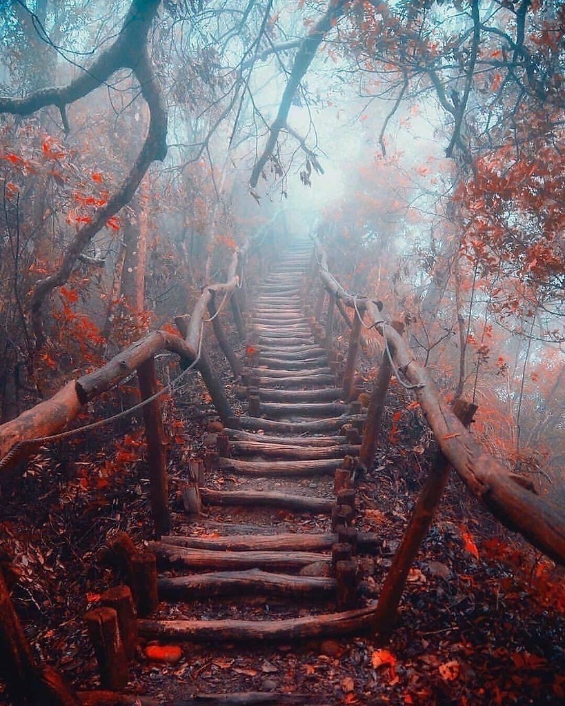 Загадочный пейзаж