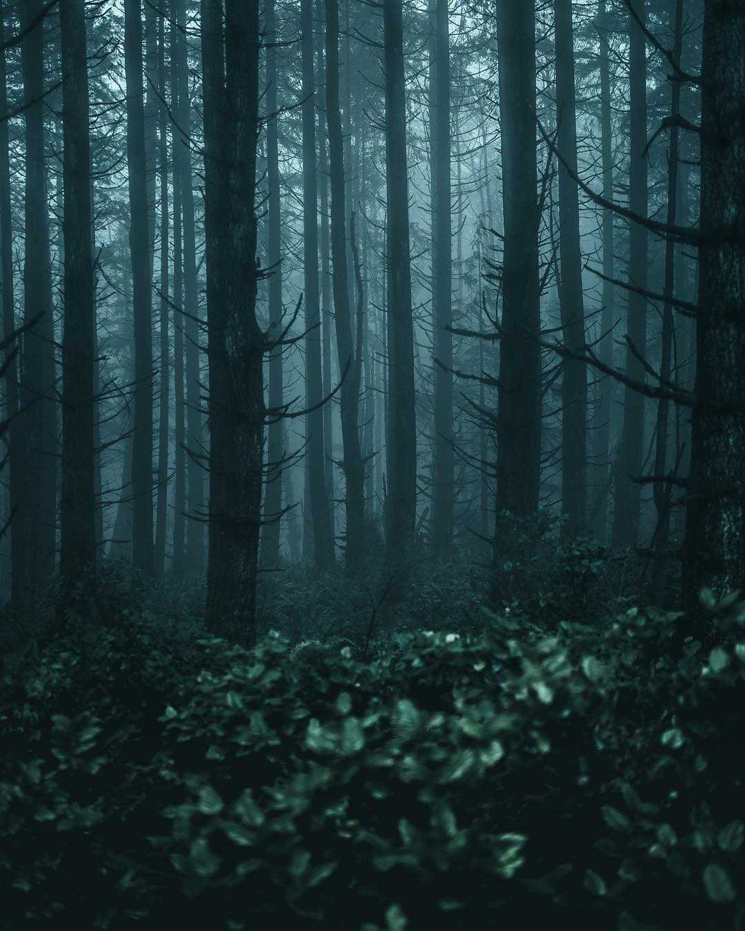 Гоблинкорн Эстетика