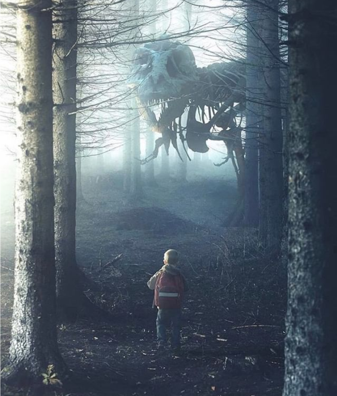 Лес тёмный мрачный