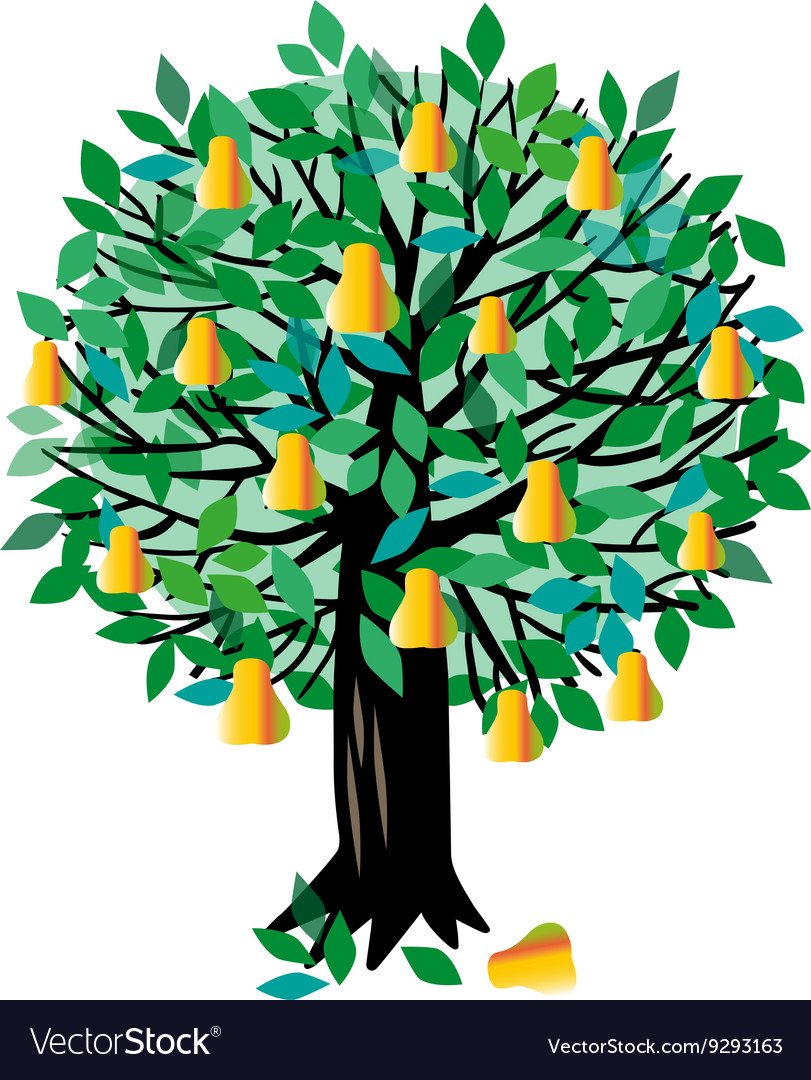 Груша для срисовки