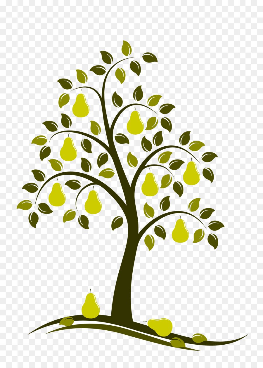 Груша. (Pear Tree) Williams