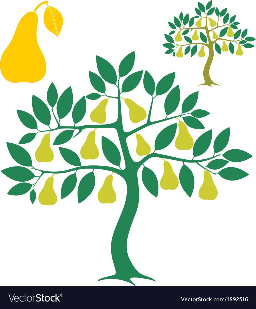 Грушевое дерево для дошкольников