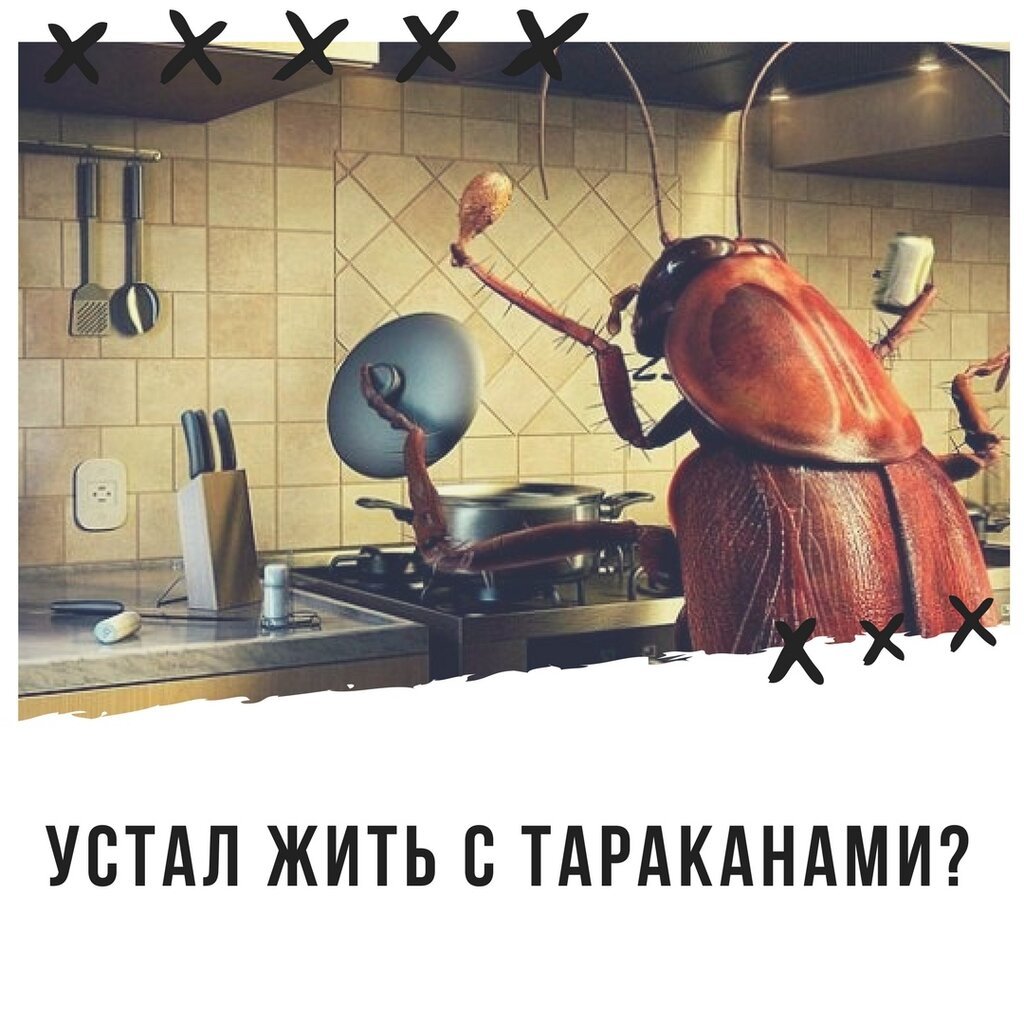 Смешной таракан