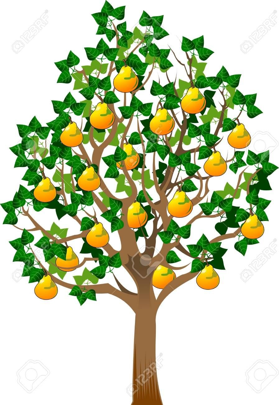 Груша на прозрачном фоне