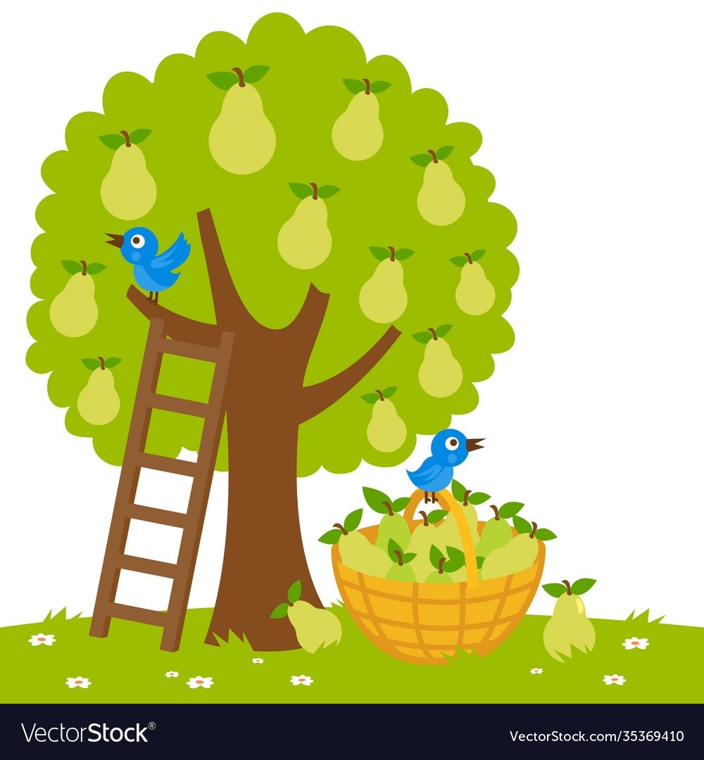 Груша дерево вектор