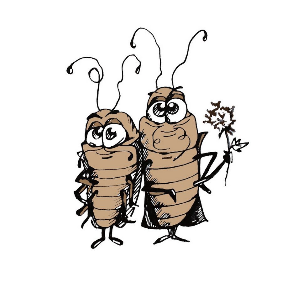 Мысли в голове тараканы