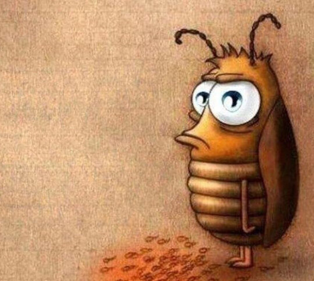 Веселая блоха